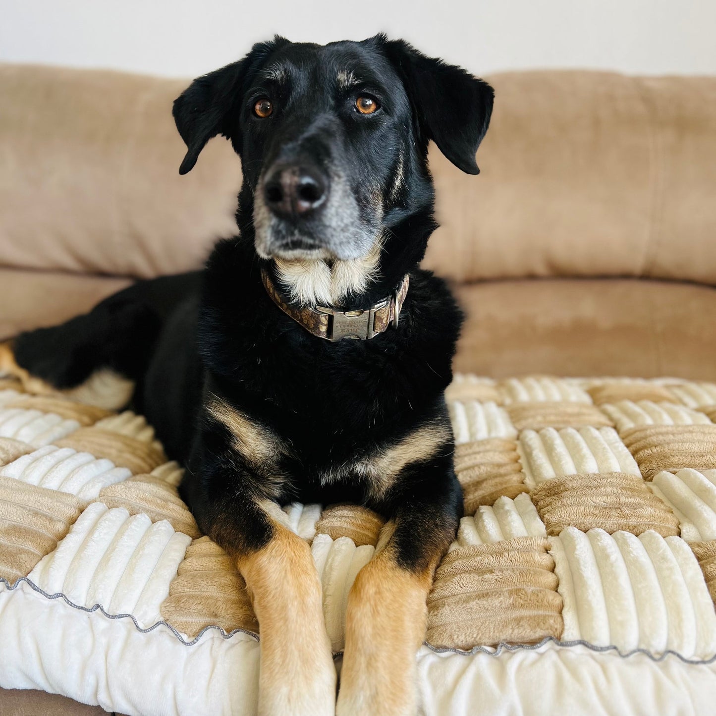 Pet Cover™ - Non-Slip & Pet-Friendly Essential